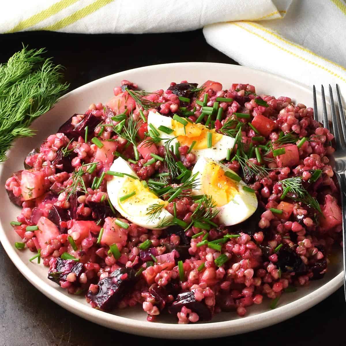 Side view of salad with buckwheat and eggs on pink plate with herbs in background.