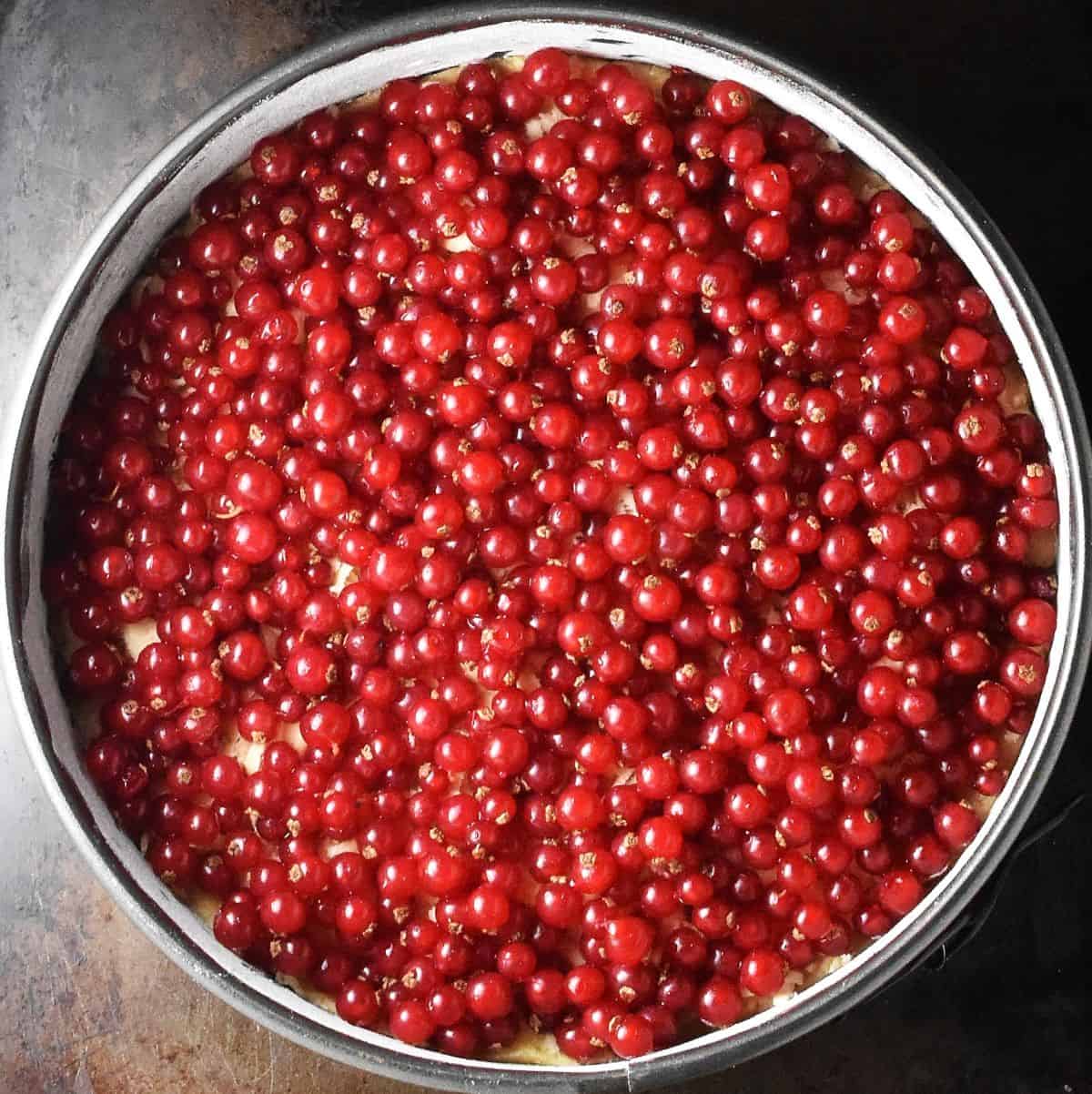 Fresh red currants in round cake pan.