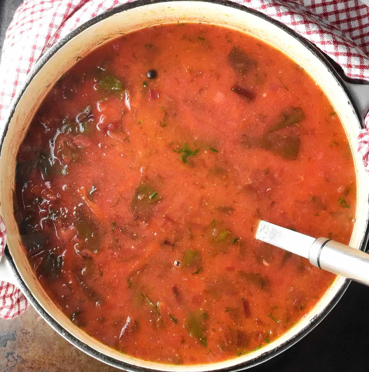 Top down view of beet coloured soup in white pot with ladle.