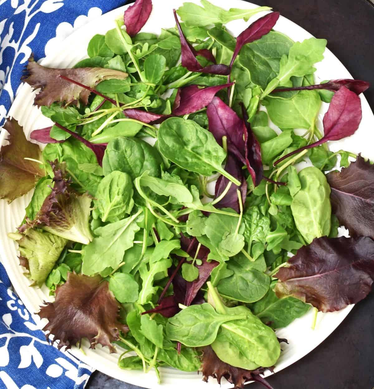 Salad greens on top of white plate.