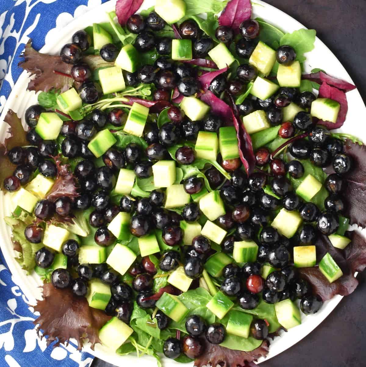 Blueberries and cucumber on bed of salad greens.