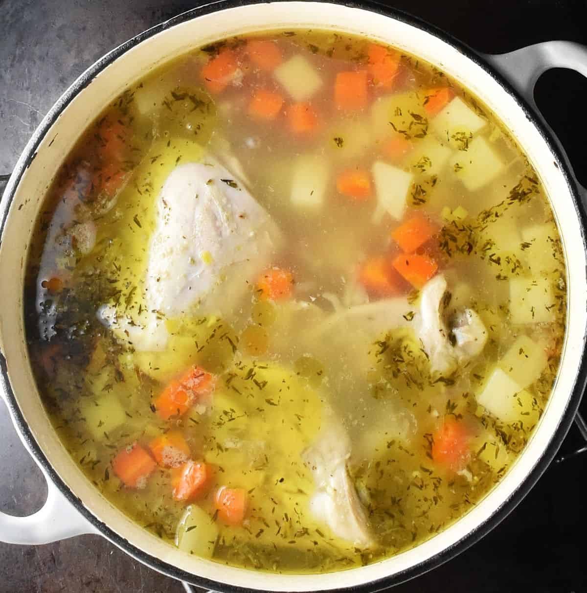 Soup with vegetables and chicken in large, white pot.