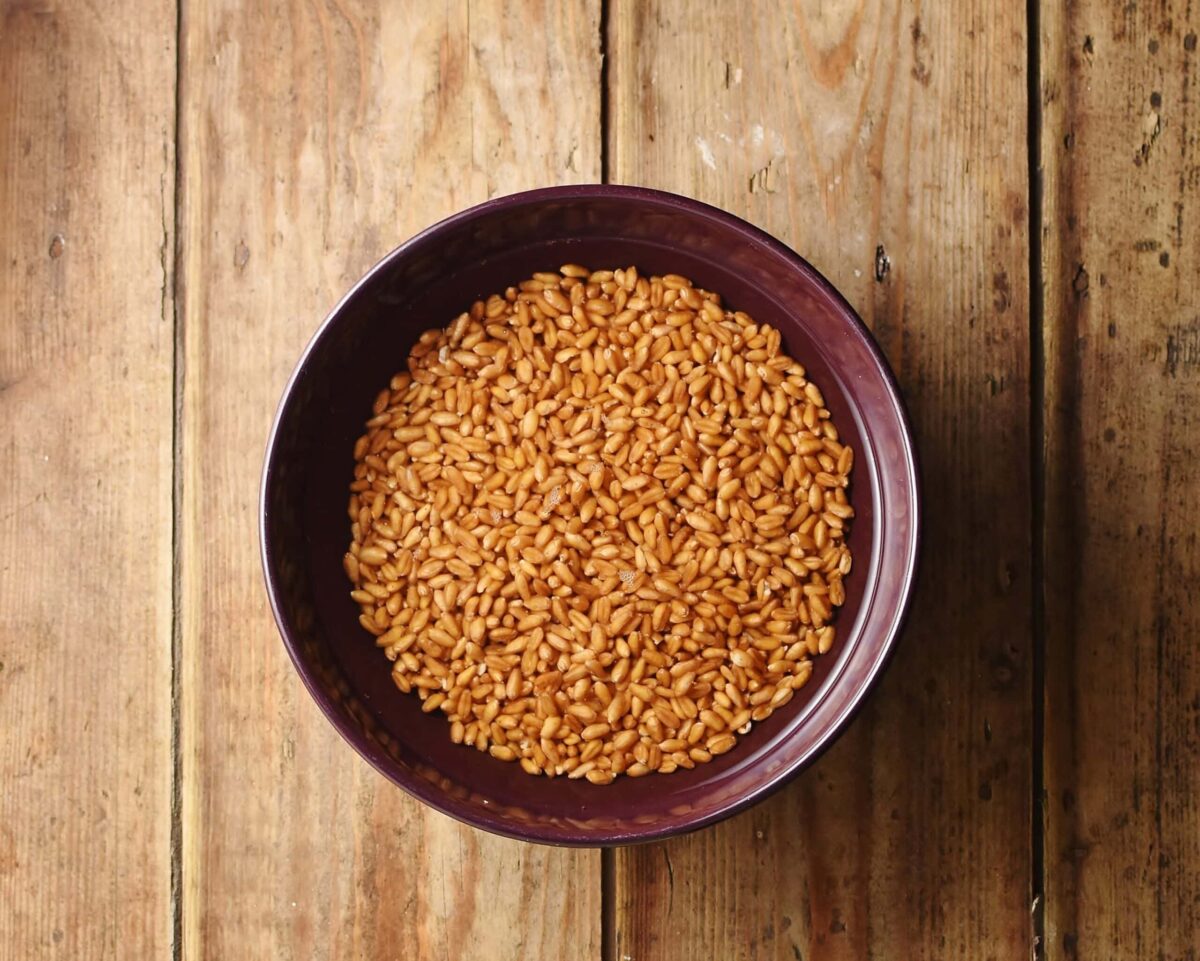 Wheat berries with water in purple bowl.