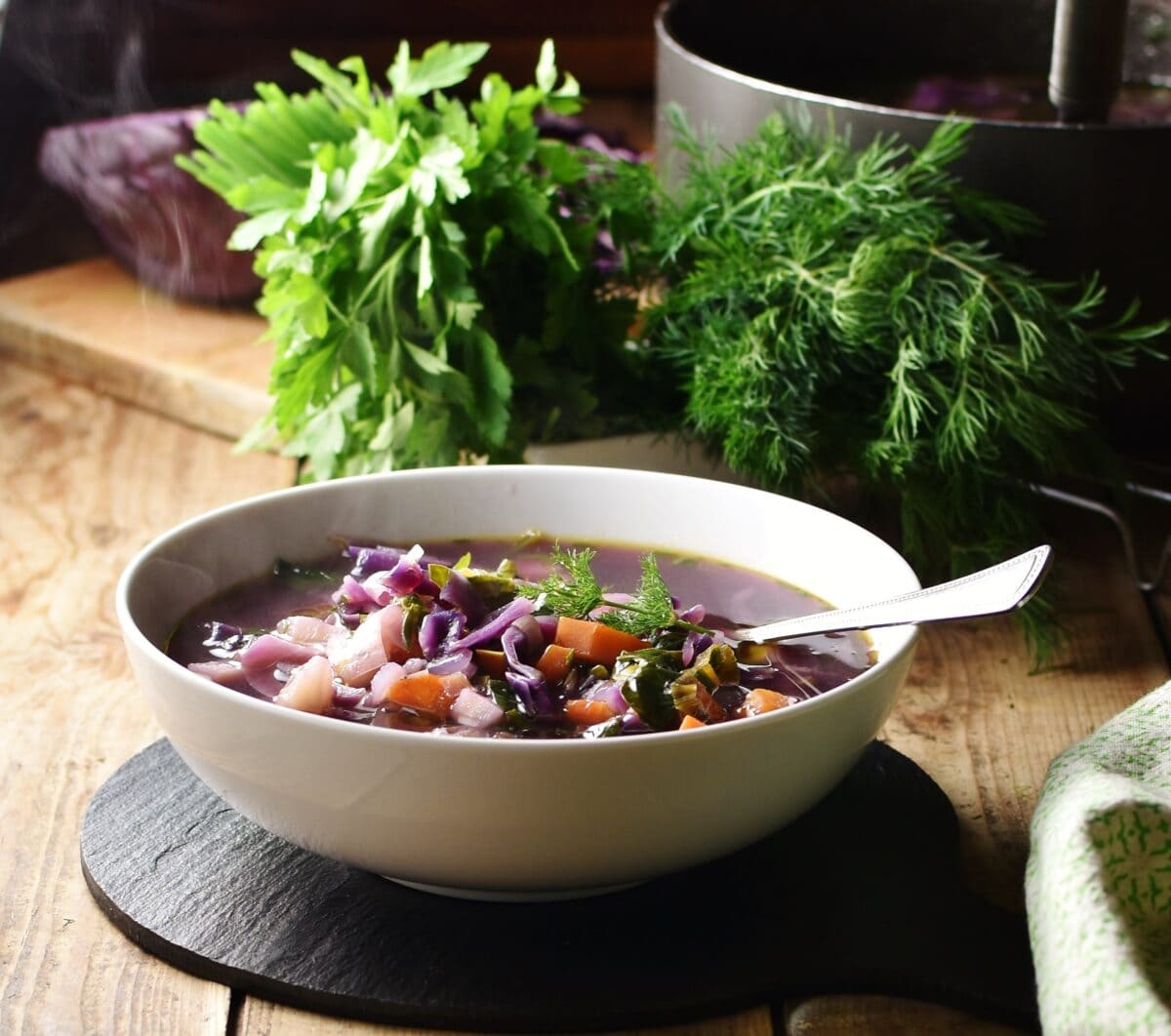 Side view of red cabbage soup with vegetables in white bowl with spoon, fresh herbs and pot in background.