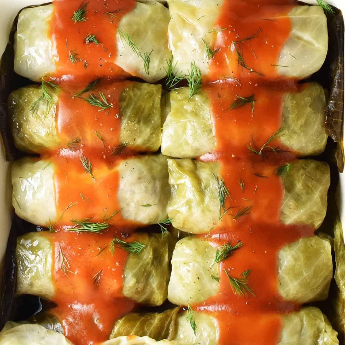 Top down view of Polish cabbage rolls in single layer topped with tomato sauce.