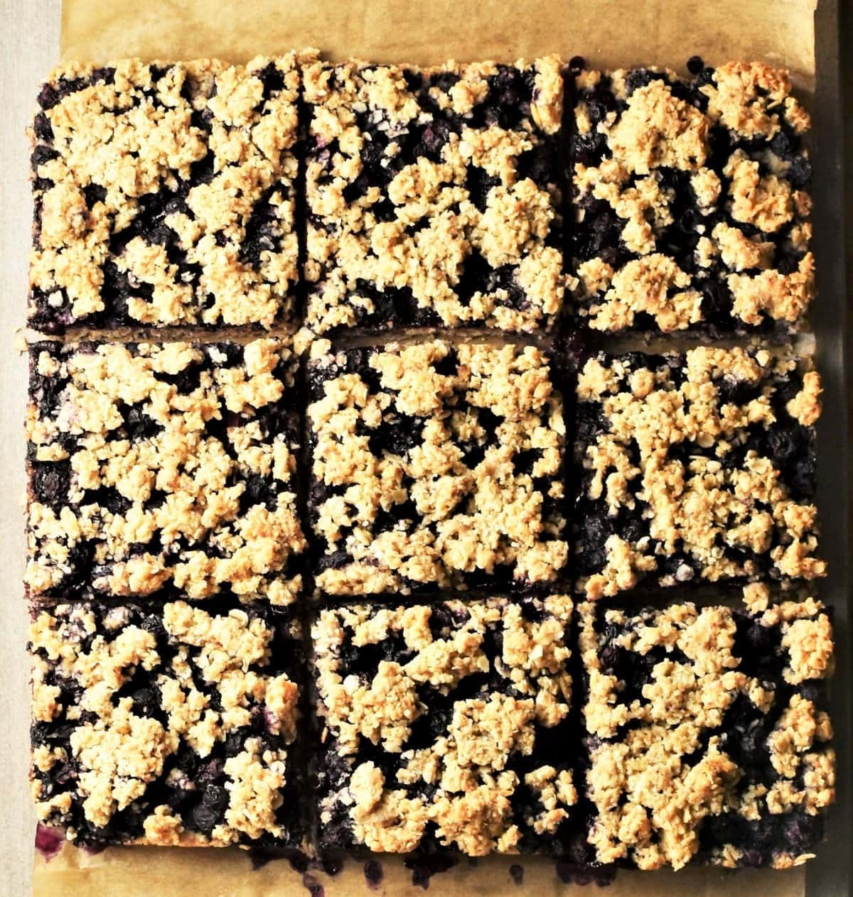 9 blueberry bars on top of parchment.