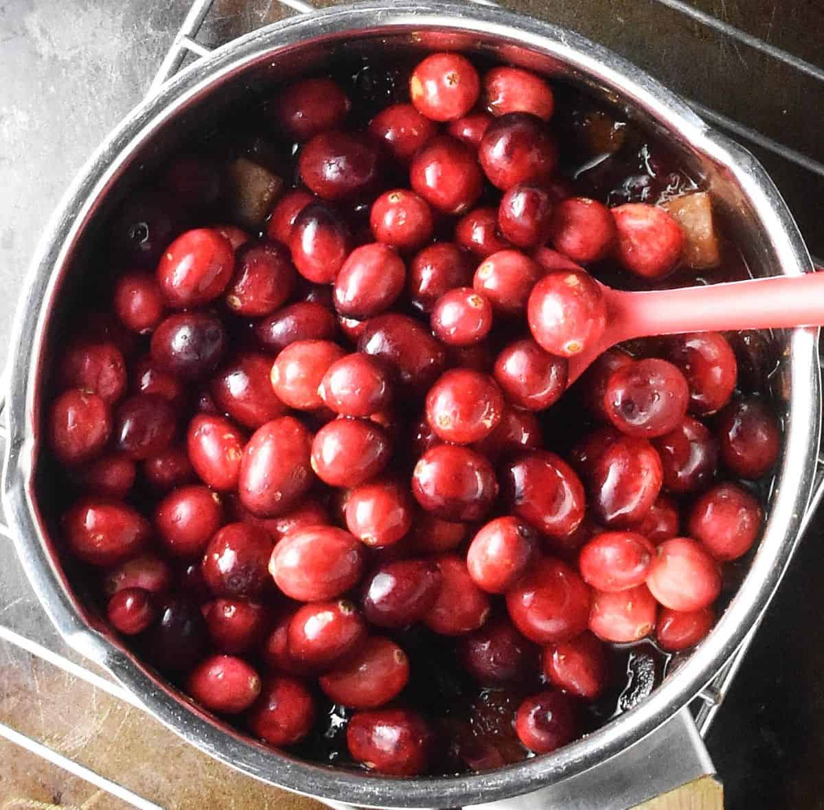 Fresh cranberries in pot with red spoon.
