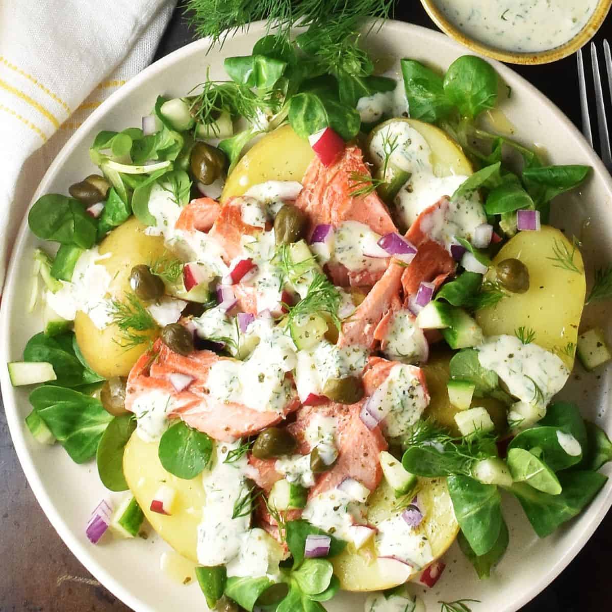 Top down view of salmon and potato salad with creamy dressing on white plate. 