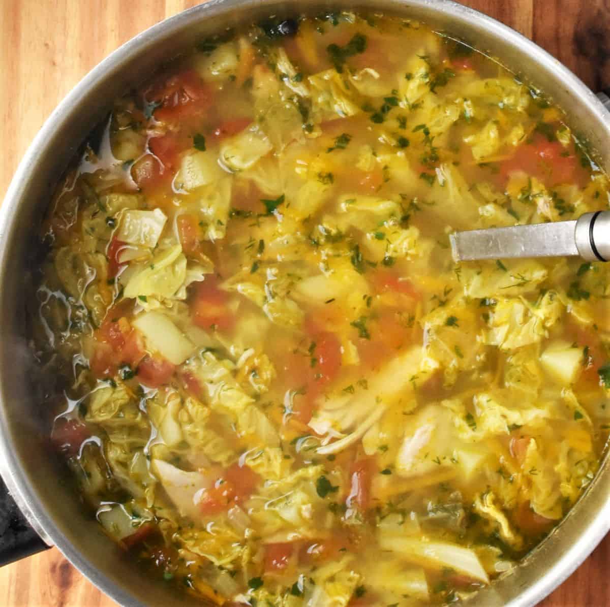 Shredded cabbage and chicken soup in large pot with ladle.