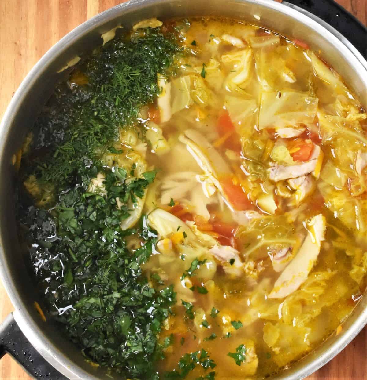 Cabbage and chicken soup with fresh herbs in large pot.