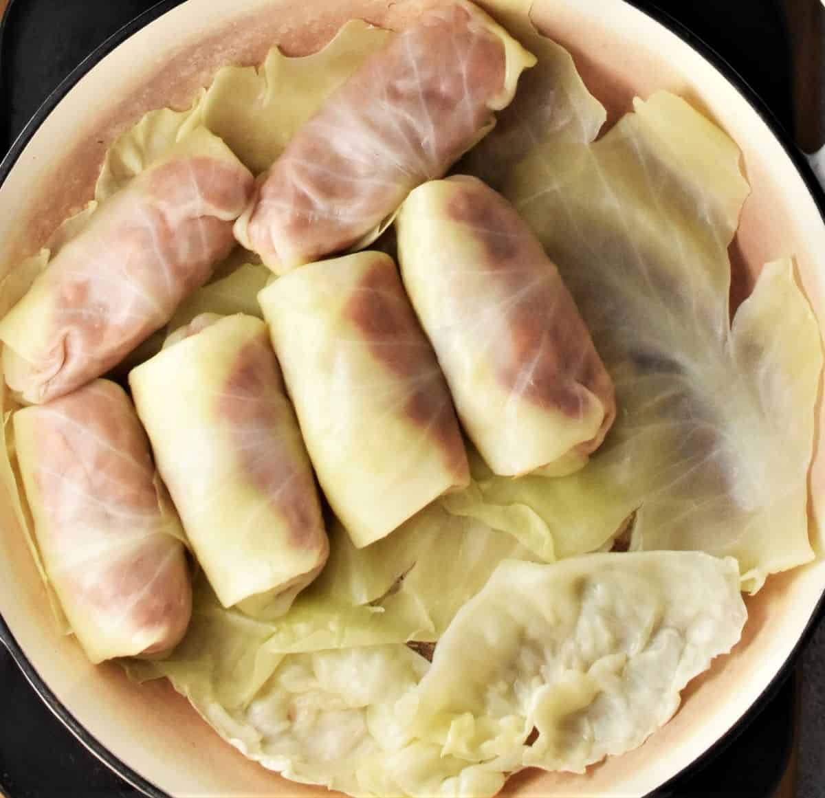 Arranging cabbage rolls in cabbage covered bottom of shallow dish.