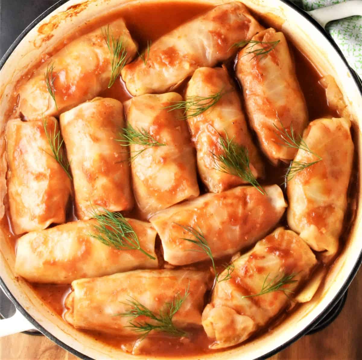 Cabbage rolls with tomato sauce in large casserole dish garnished with dill.