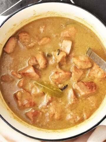 Top down view of Polish goulash with pork and gravy in white pot with ladle.