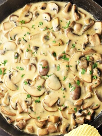 Top down view of mushroom sour cream sauce in large shallow pan.