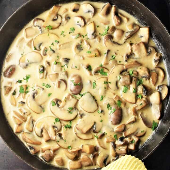 Simple Mushroom Sauce with Sour Cream - Everyday Healthy Recipes