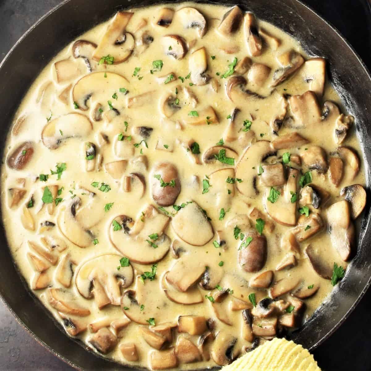 Mushroom sauce deals