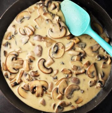 Simple Mushroom Sauce with Sour Cream - Everyday Healthy Recipes
