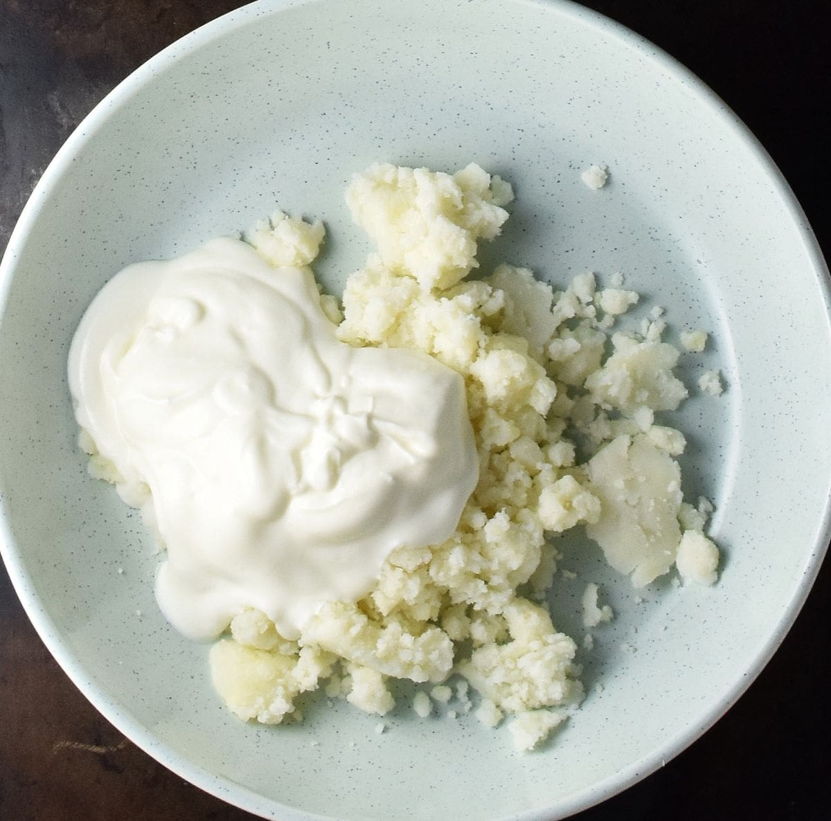 Mashed potatoes and yogurt in shallow, blue bowl.