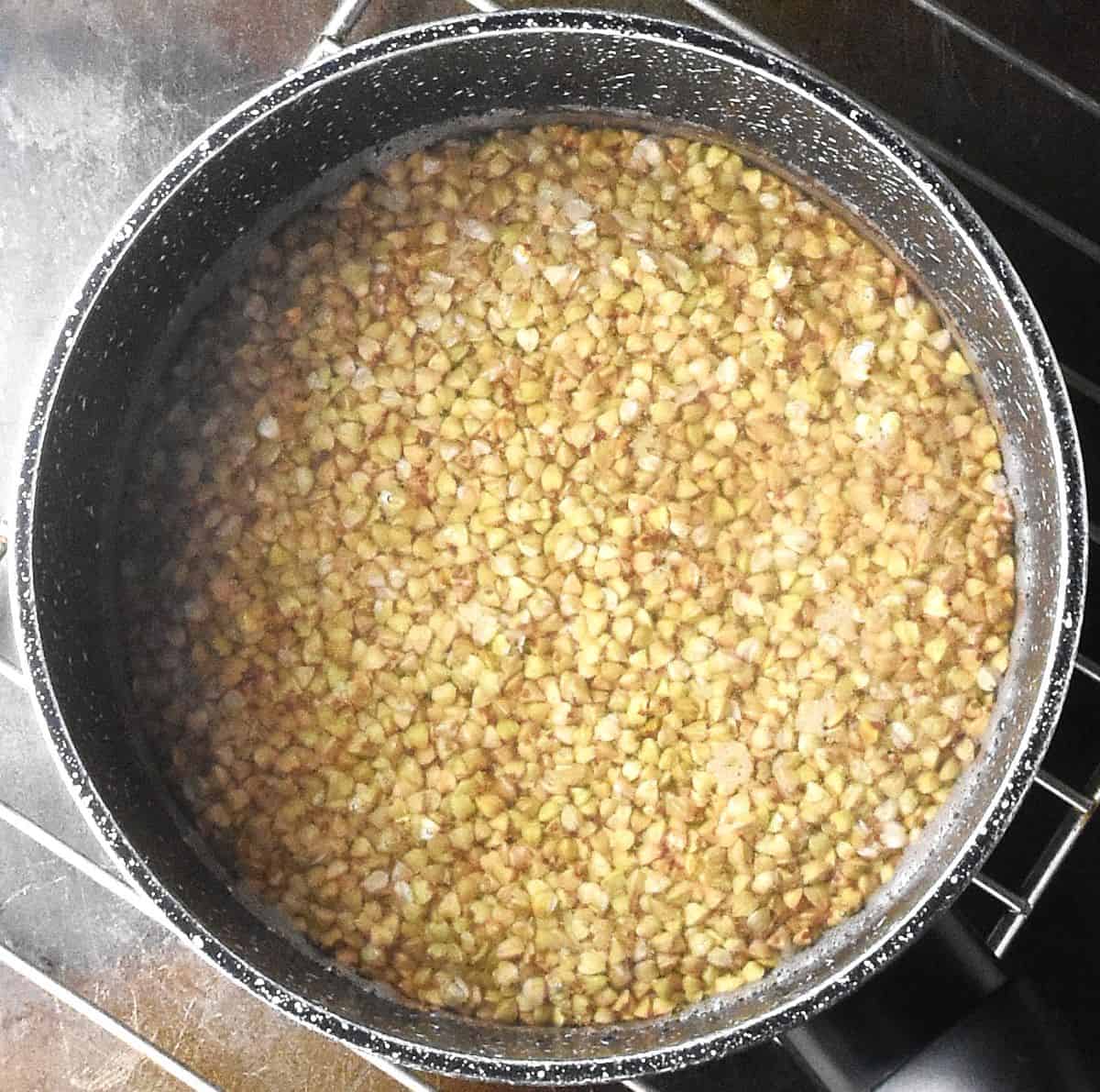 Top down view of buckwheat groats with water in pot.