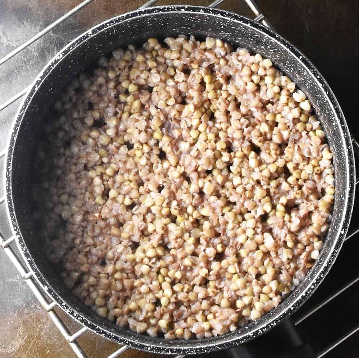 Cooked buckwheat kasha in small pot.
