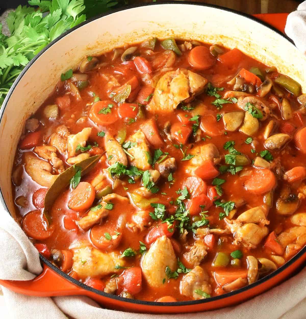 Side view of Polish chicken vegetable goulash stew in shallow, white pan.